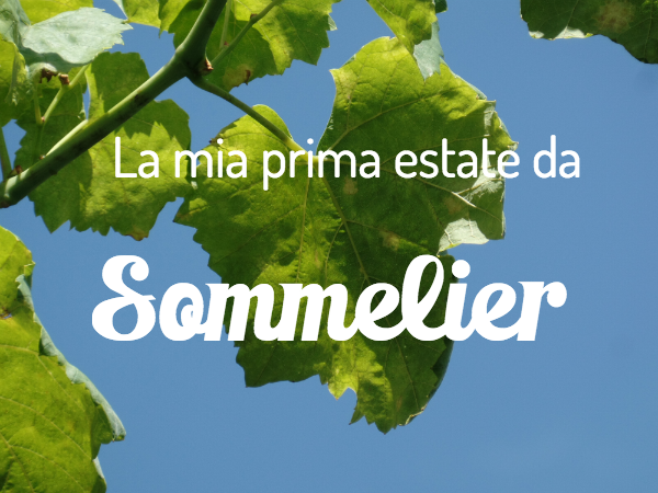 La mia prima estate da sommelier