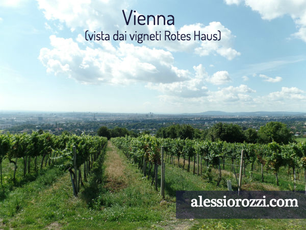 sommelier-trieste-alessio-rozzi-rotes-haus-vienna