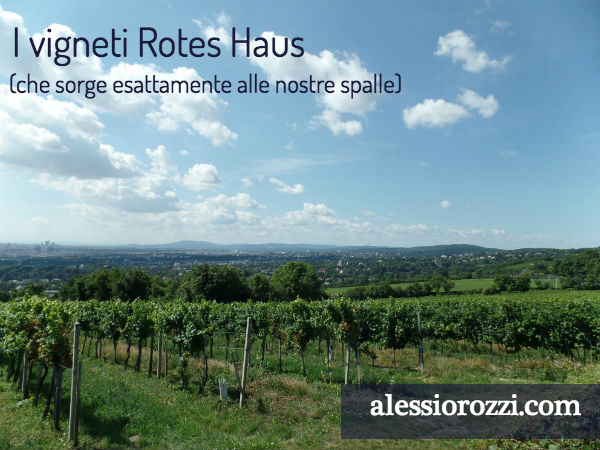 sommelier-trieste-alessio-rozzi-rotes-haus