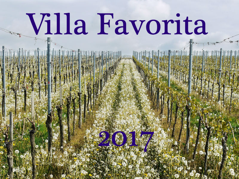 Vini Naturali a Villa Favorita anche nel 2017